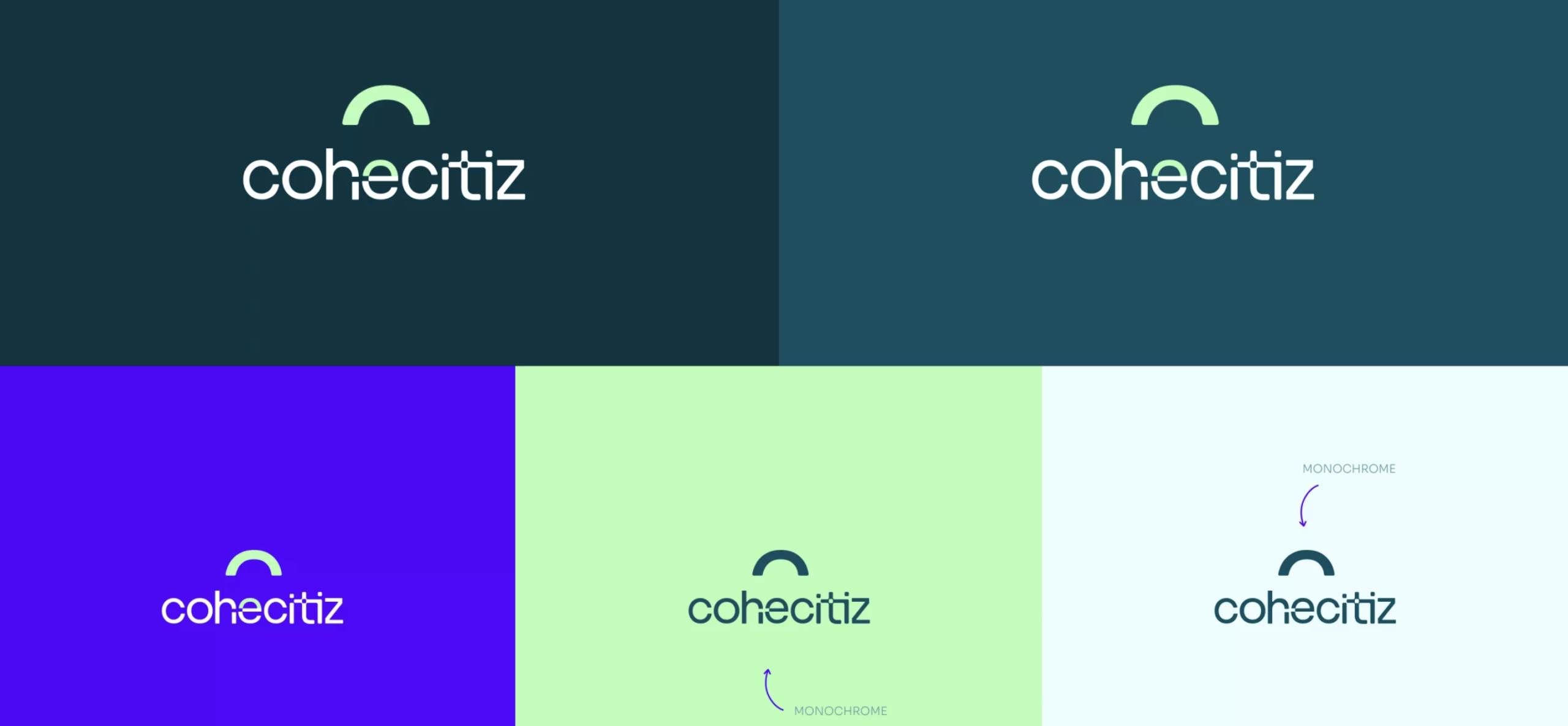 palette couleur Cohecitiz