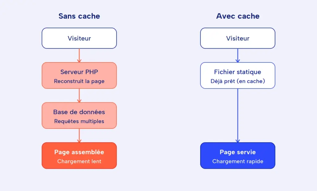 Schema Cache WordPress Pilotin