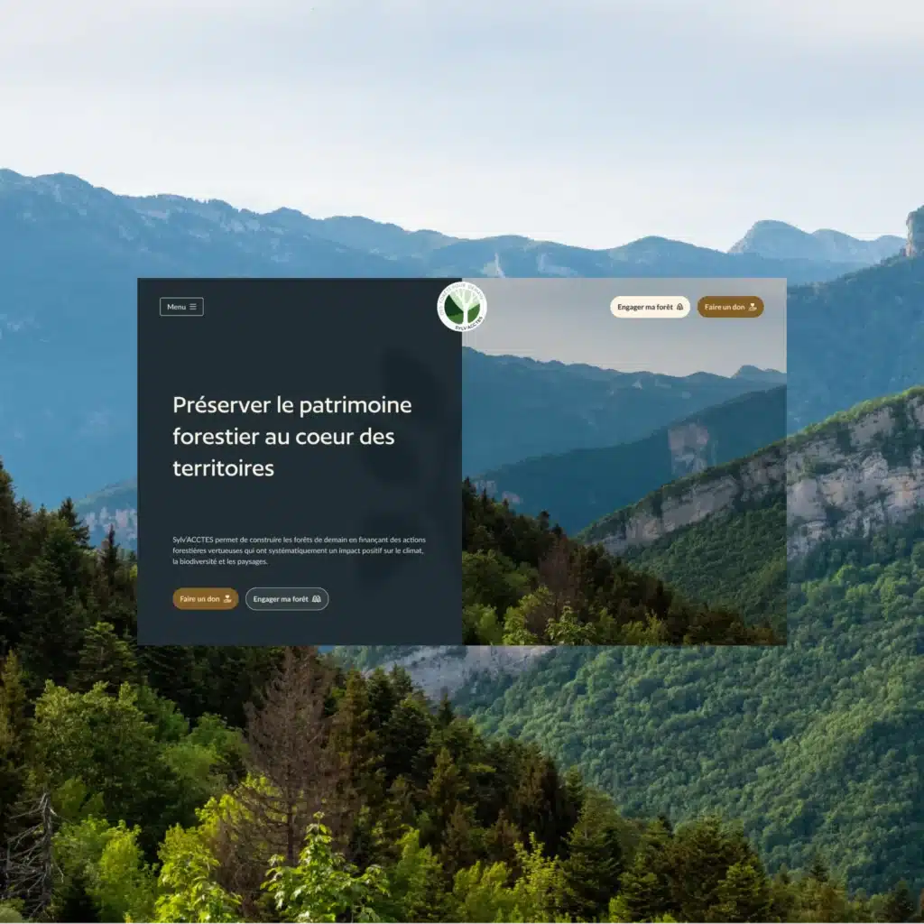 Mise En Avant Sylvacctes-site-WordPress